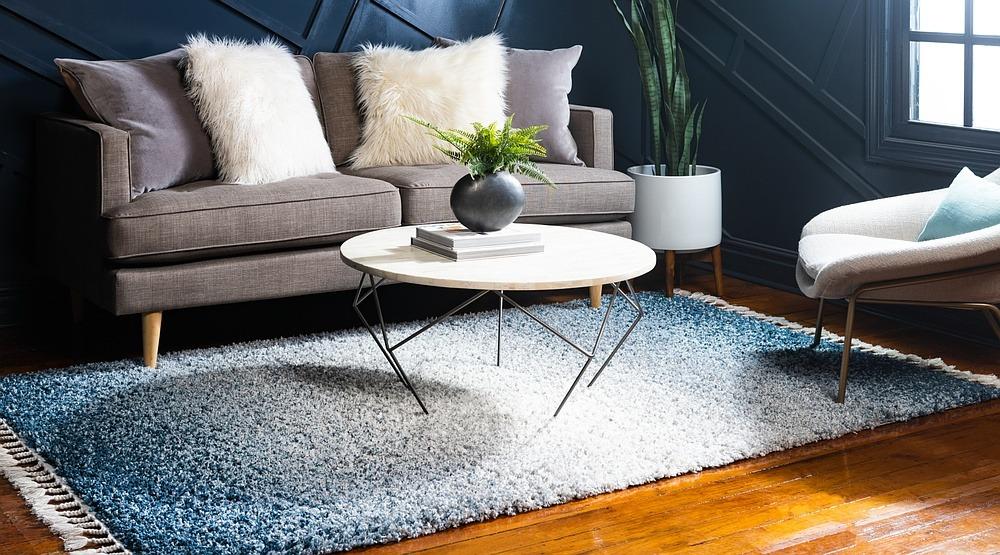 Delphine – Ombre Gradient Shag Rug
