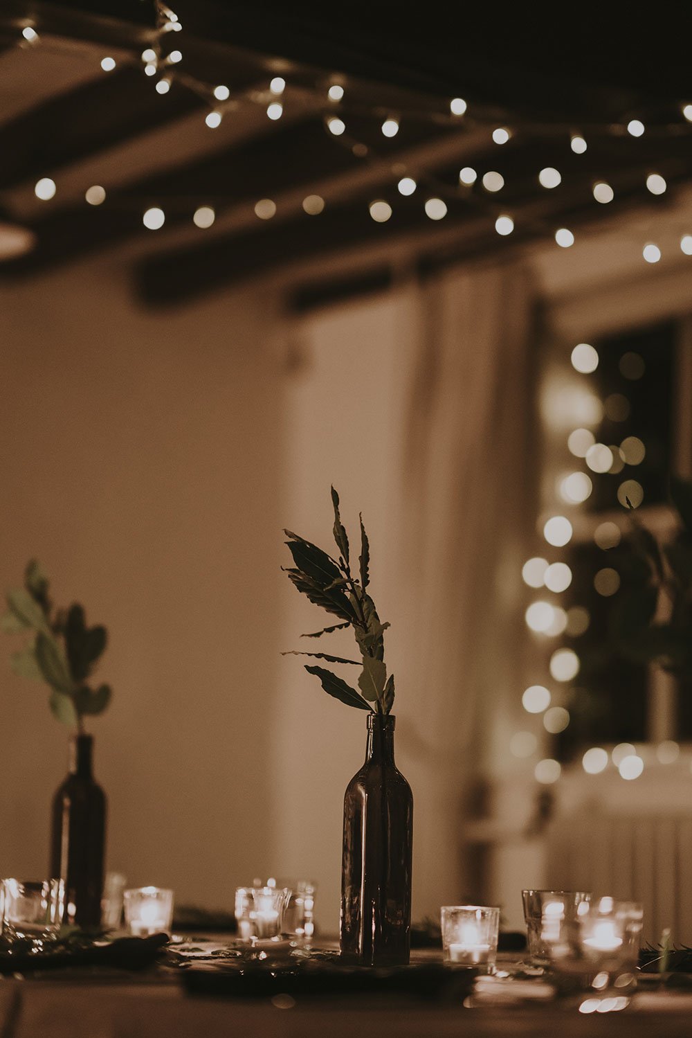 Hotaru – Solar LED Fairy String Lights
