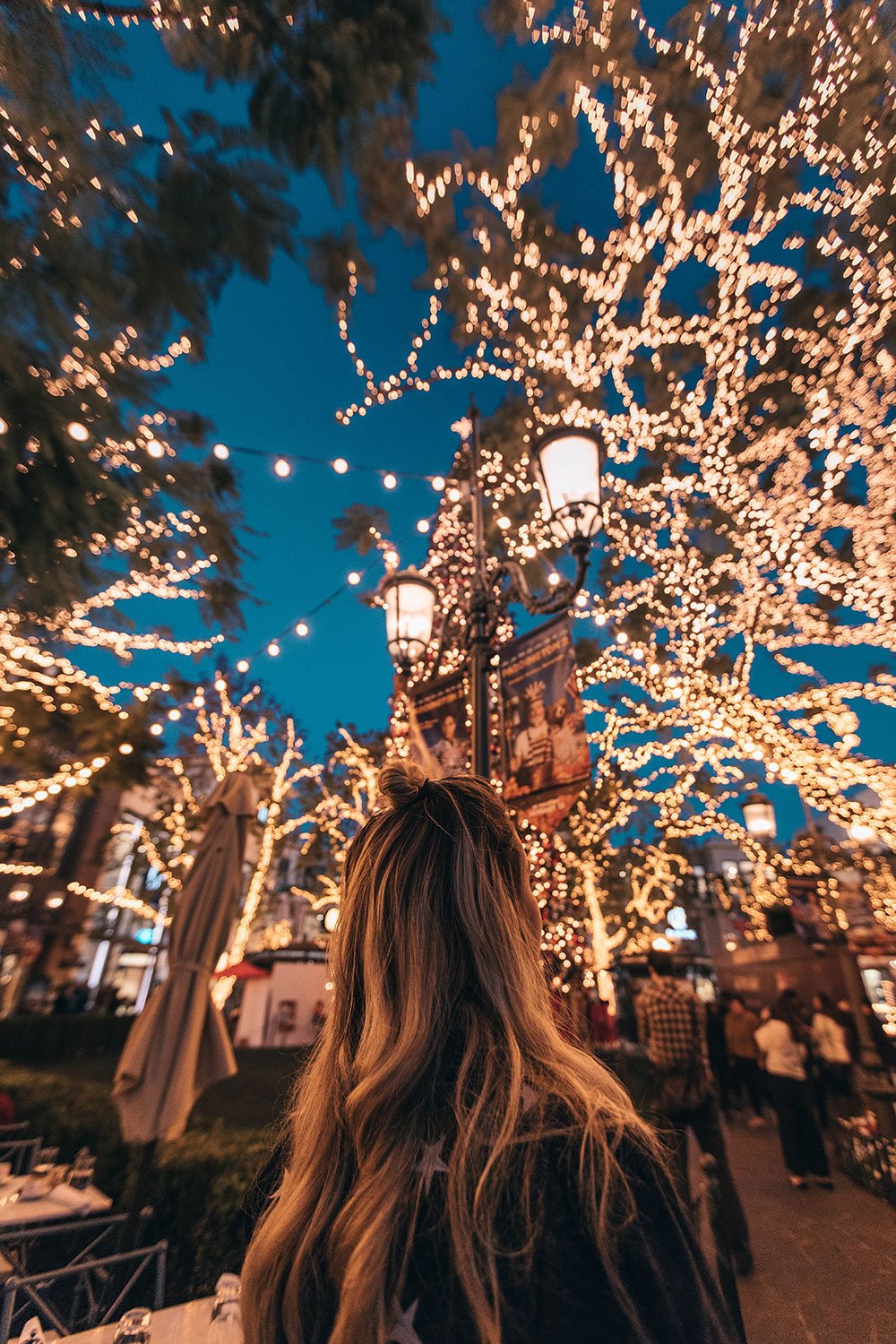 Hotaru – Solar LED Fairy String Lights