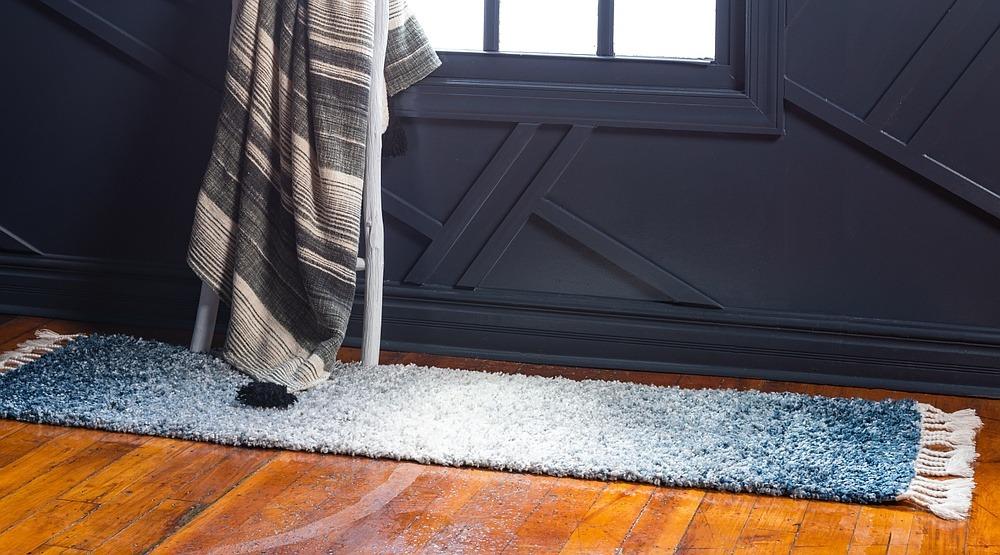 Delphine – Ombre Gradient Shag Rug