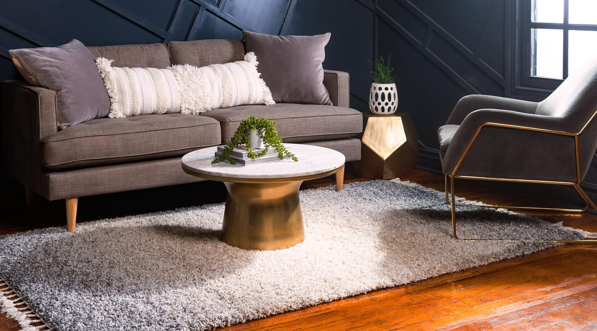 Delphine – Ombre Gradient Shag Rug