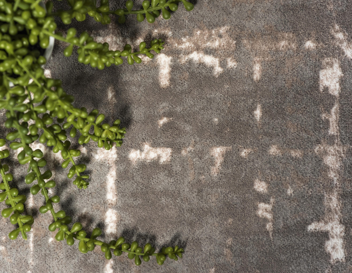 Manon – Distressed-Look Modern Area Rug