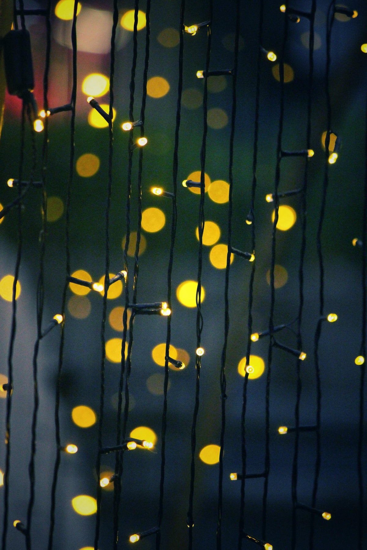 Hotaru – Solar LED Fairy String Lights