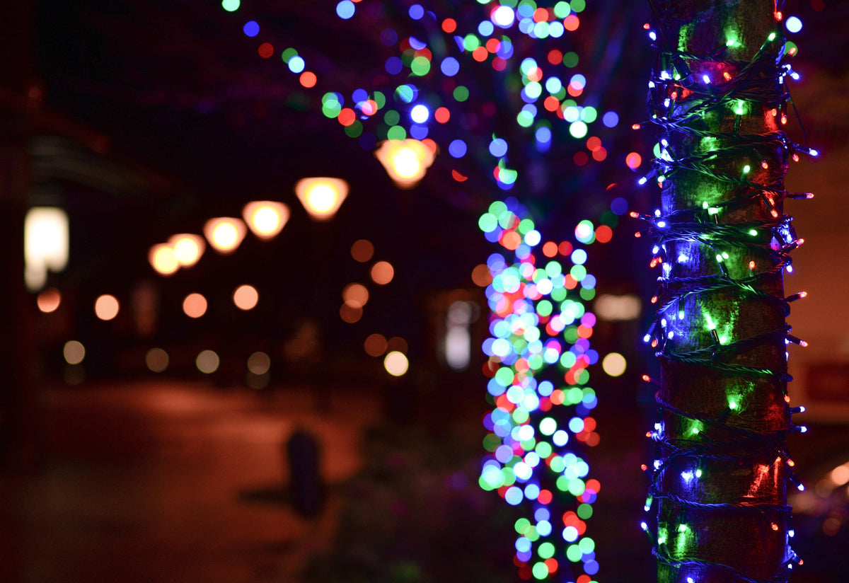 Hotaru – Solar LED Fairy String Lights