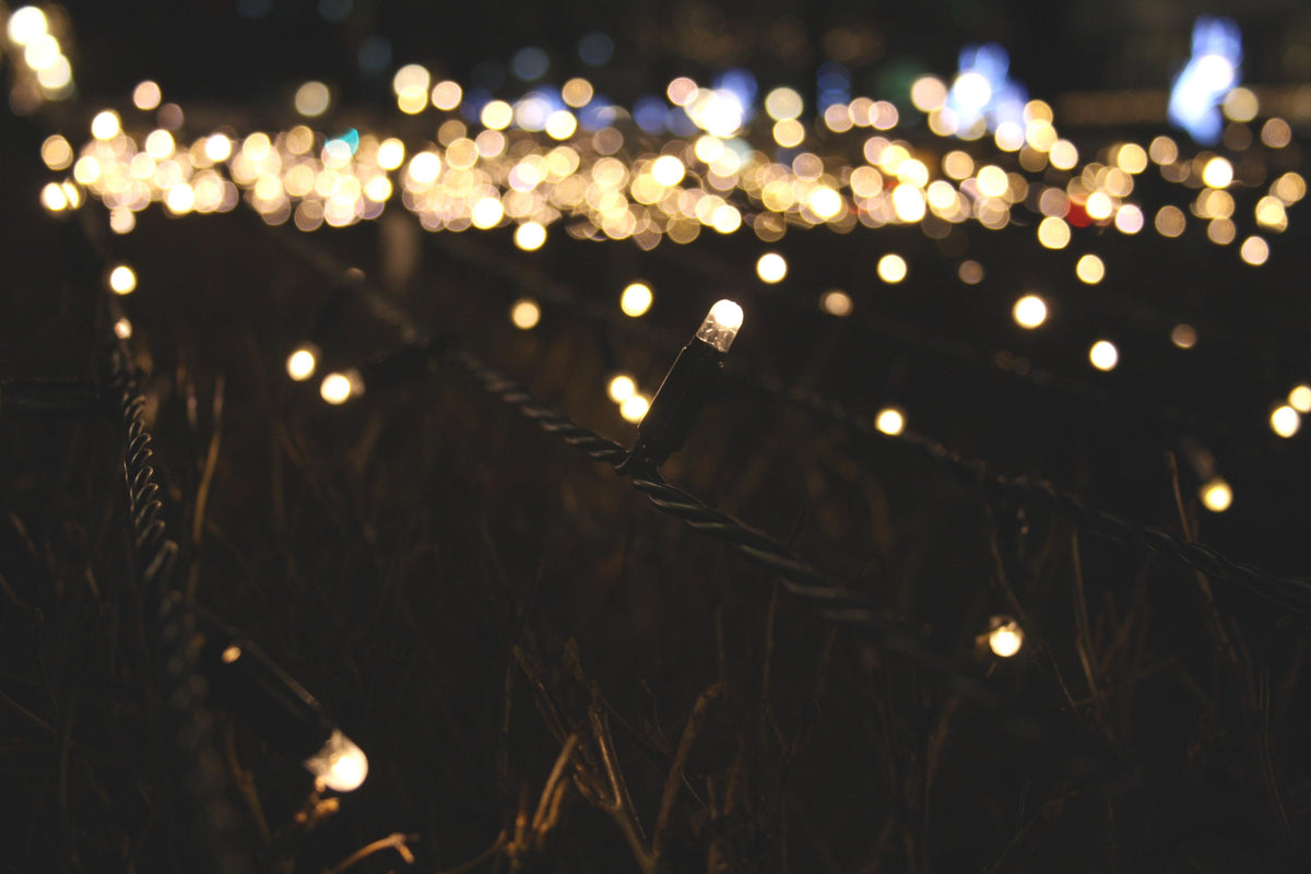 Hotaru – Solar LED Fairy String Lights