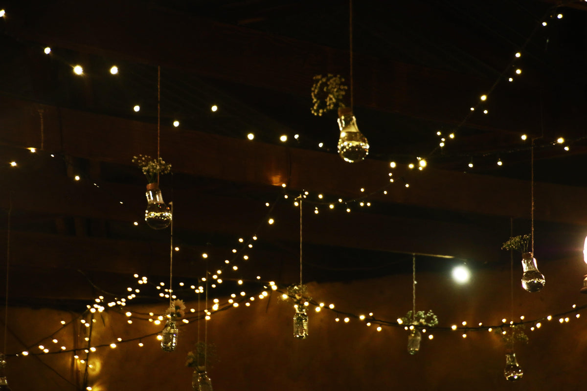 Hotaru – Solar LED Fairy String Lights
