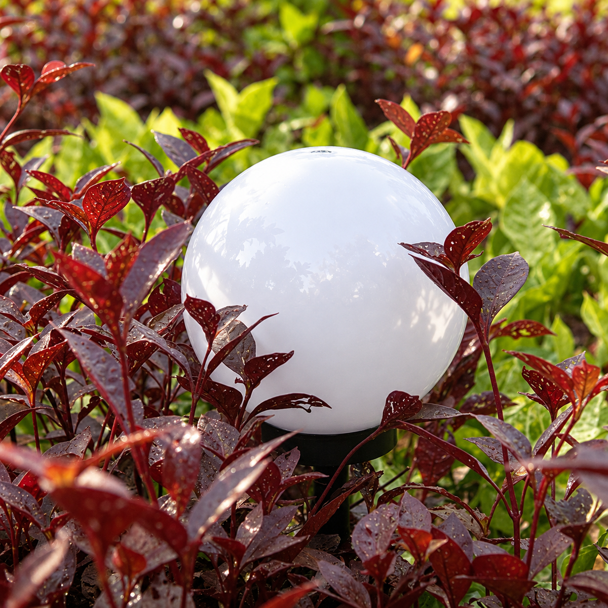 Liv solar pathway lamp globe nestled among burgundy garden foliage
