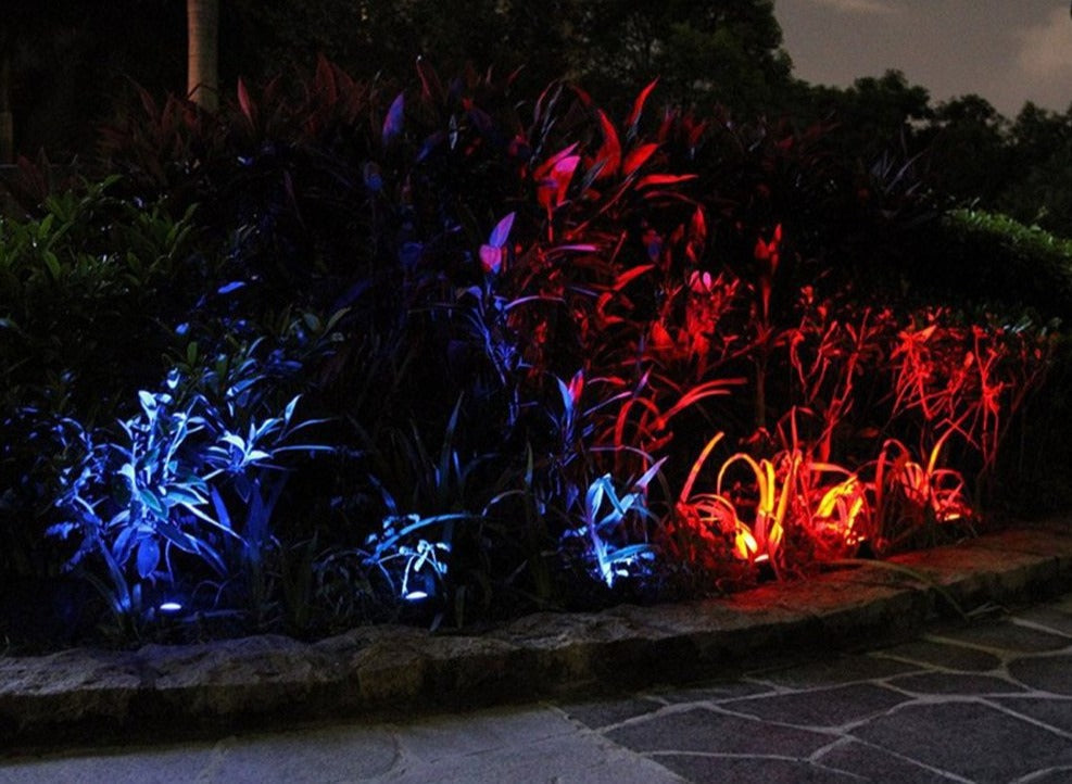 Runa multicolour solar lawn lights casting blue and red light across a garden border