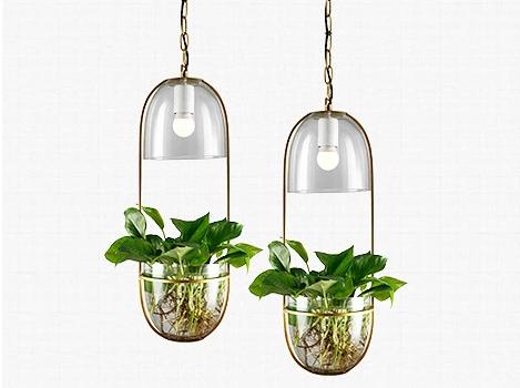 Pergola – Iron & Glass Hanging Planter Pendant