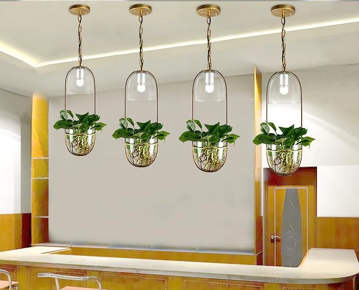 Pergola – Iron & Glass Hanging Planter Pendant