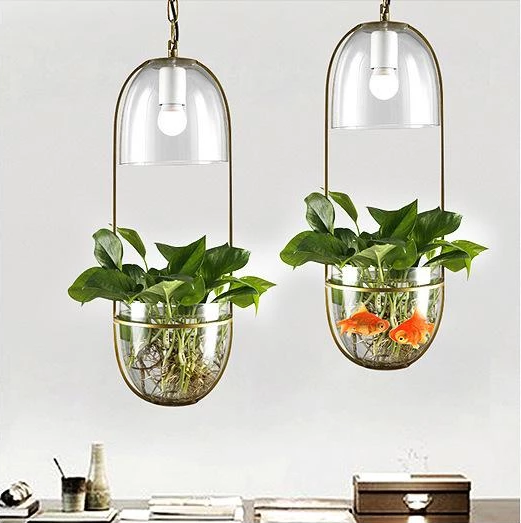 Pergola – Iron & Glass Hanging Planter Pendant