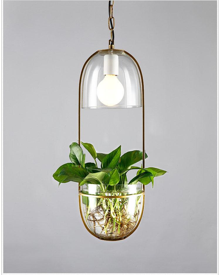 Pergola – Iron & Glass Hanging Planter Pendant