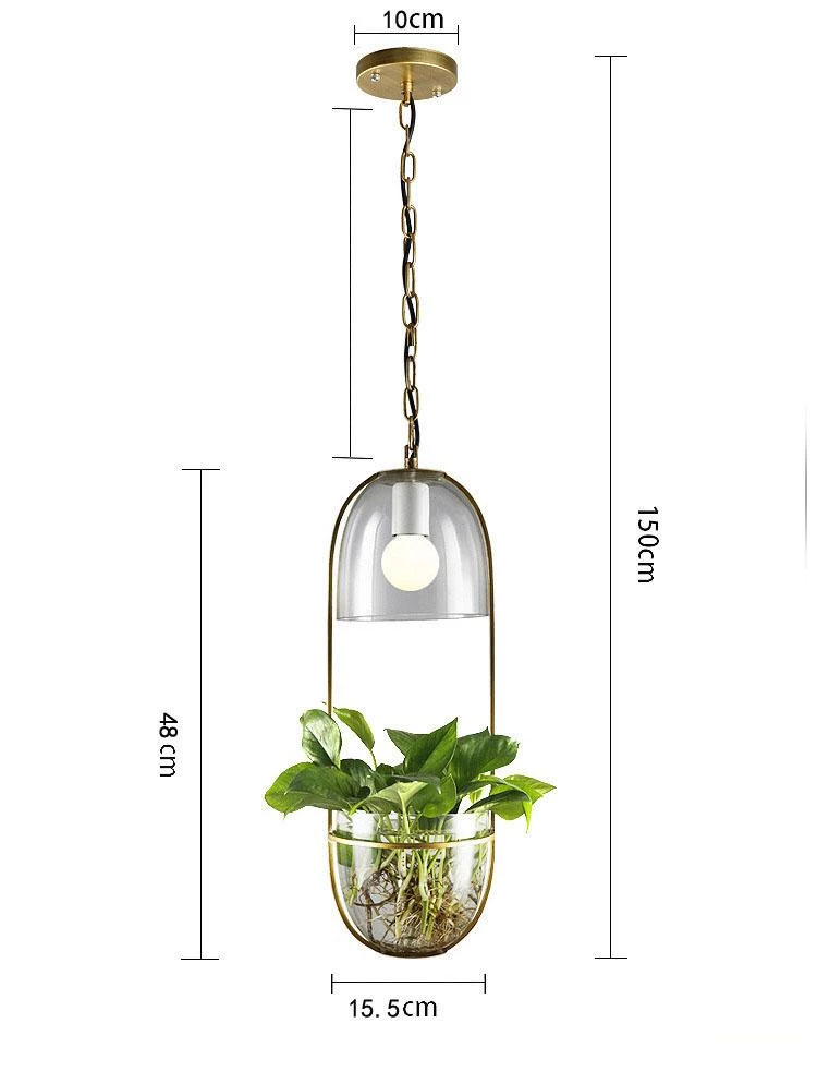 Pergola – Iron & Glass Hanging Planter Pendant
