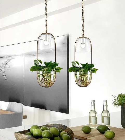 Pergola – Iron & Glass Hanging Planter Pendant