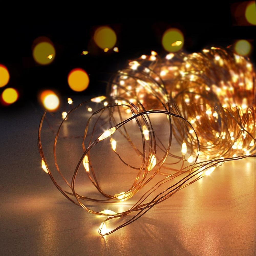 Meadow – Warm White Fairy Lights with Photo Clips
