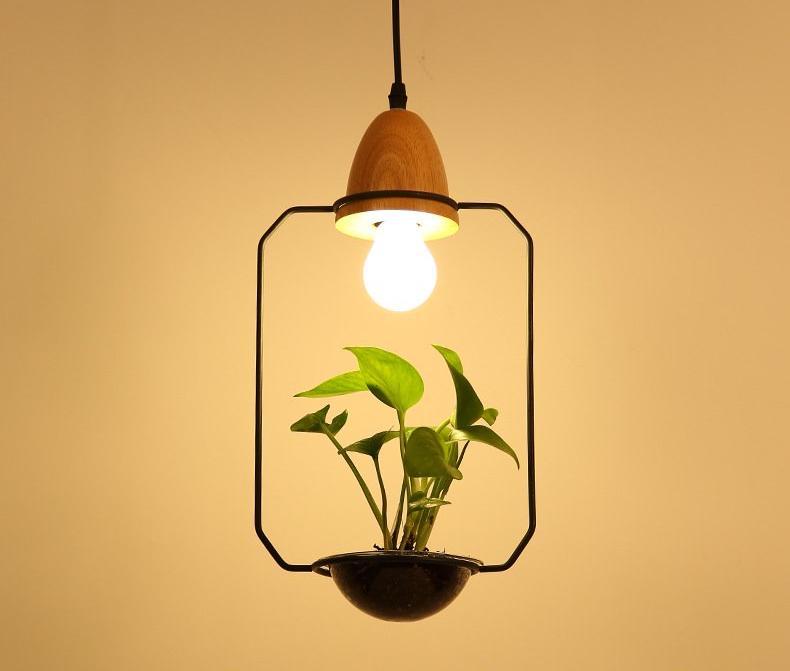 Fennel – Iron Wire Planter Pendant Light