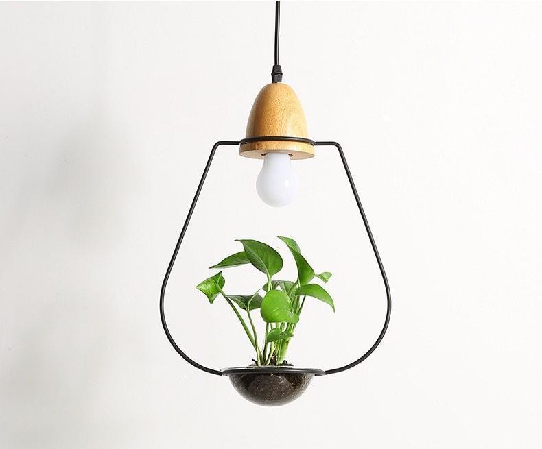 Fennel – Iron Wire Planter Pendant Light
