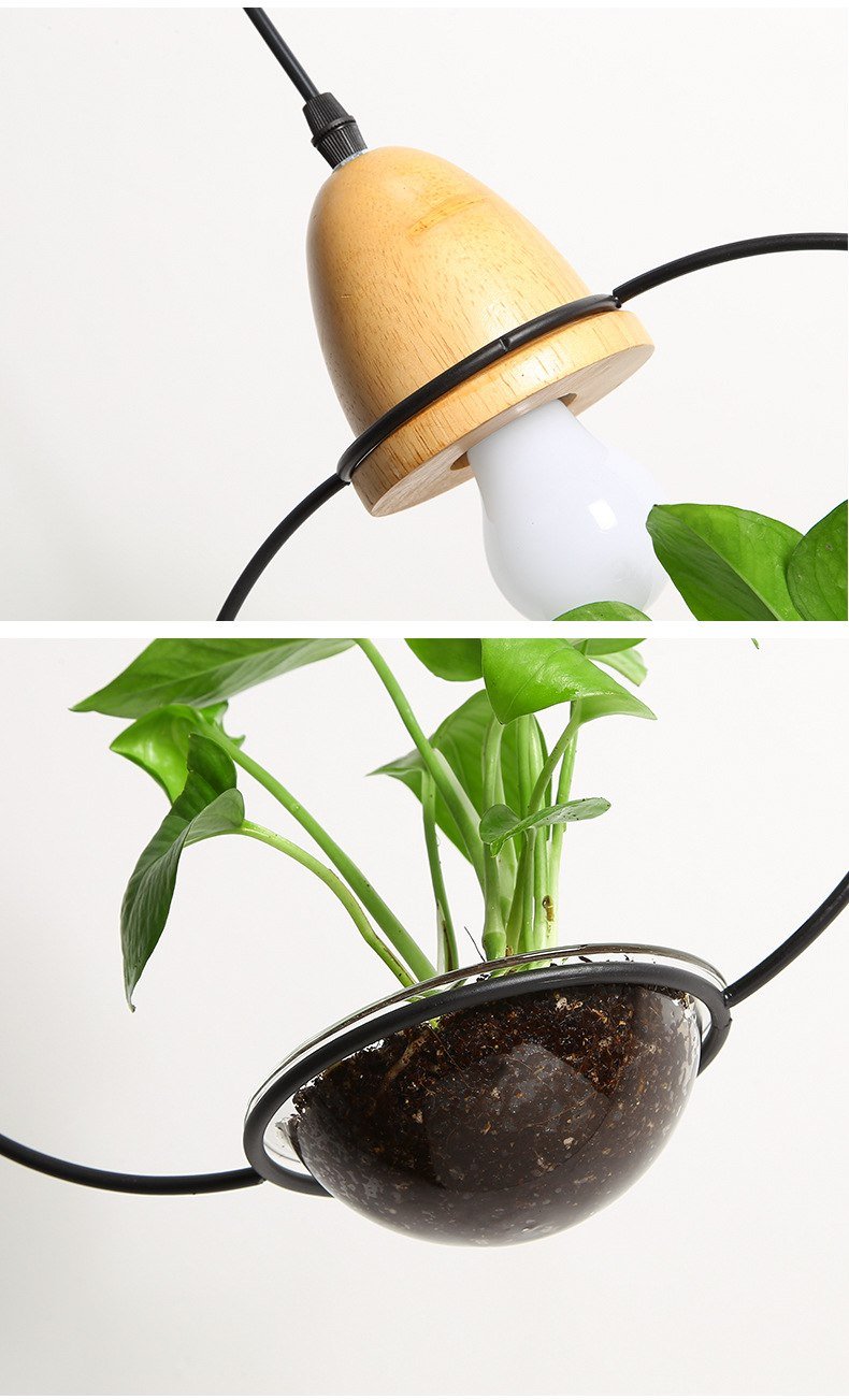 Fennel – Iron Wire Planter Pendant Light