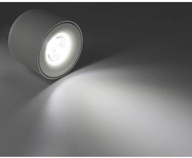 Ten – Matte Aluminium LED Downlight Spot