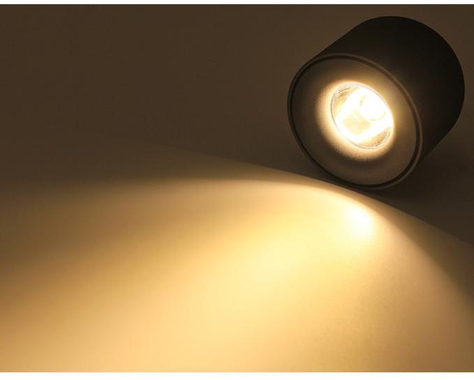 Ten – Matte Aluminium LED Downlight Spot