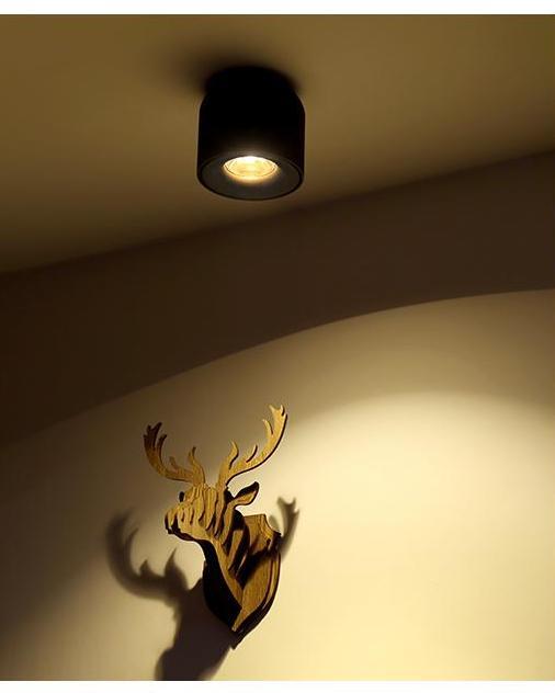 Ten – Matte Aluminium LED Downlight Spot
