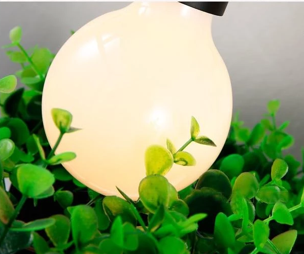 Greenhaven – Iron Frame Planter Chandelier