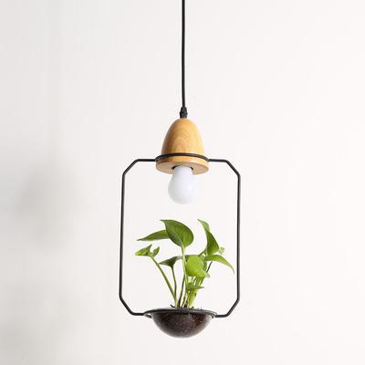 Fennel – Iron Wire Planter Pendant Light