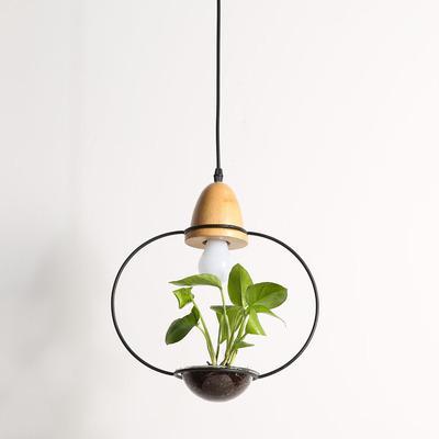 Fennel – Iron Wire Planter Pendant Light