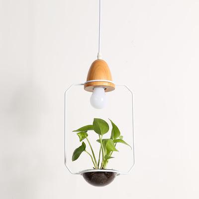 Fennel – Iron Wire Planter Pendant Light
