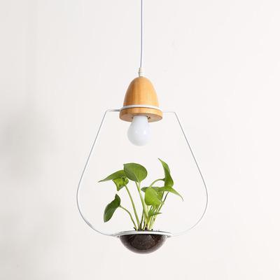 Fennel – Iron Wire Planter Pendant Light