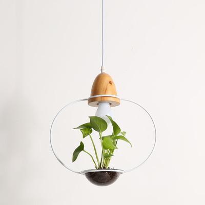 Fennel – Iron Wire Planter Pendant Light