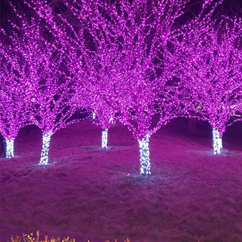 Hotaru – Solar LED Fairy String Lights